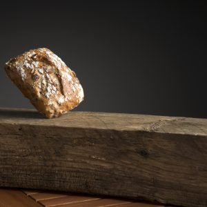 Fahlands Apfelbrötchen BIO